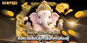 สล็อต true wallet คืออะไรเรียนรู้ทุกสิ่งที่คุณต้องรู้