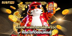สล็อต wallet เครดิตฟรี50 คืออะไรที่มือใหม่ต้องรู้